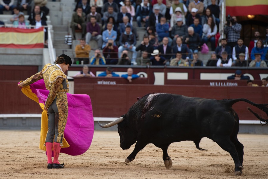 Madrid, 17 de mayo de 2019