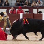 Madrid, 17 de mayo de 2019