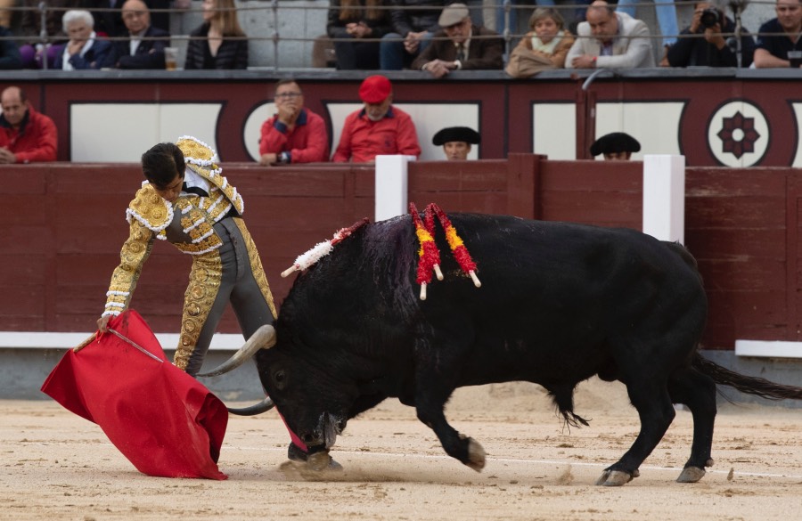 Madrid, 17 de mayo de 2019