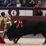 Madrid, 17 de mayo de 2019