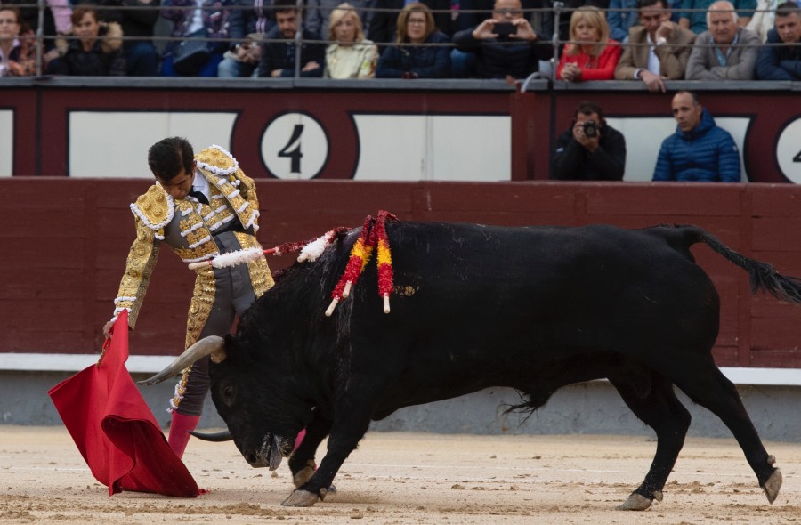 Madrid, 17 de mayo de 2019