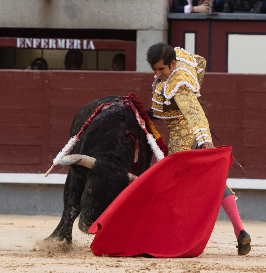 Madrid, 17 de mayo de 2019