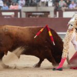 Madrid, sábado 25 de mayo de 2019