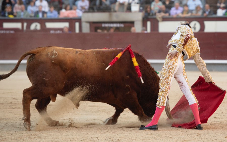Madrid, sábado 25 de mayo de 2019