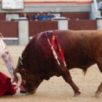 Madrid, sábado 25 de mayo de 2019