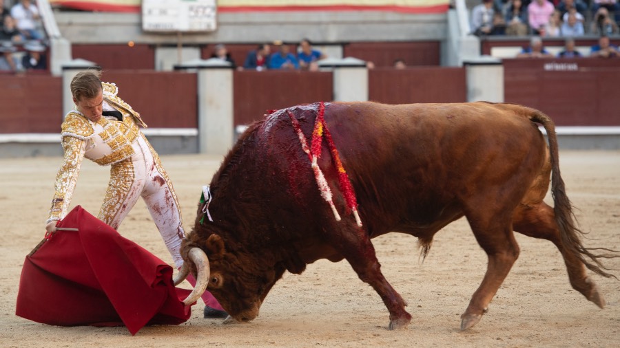 Madrid, sábado 25 de mayo de 2019