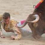 Madrid, sábado 25 de mayo de 2019