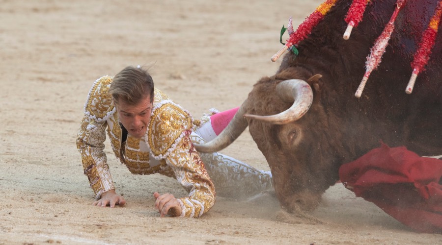 Madrid, sábado 25 de mayo de 2019