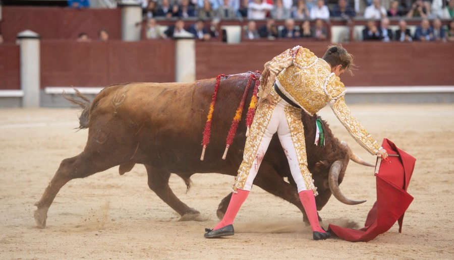 Madrid, sábado 25 de mayo de 2019