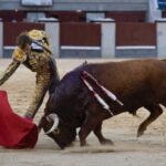 Madrid, 17 de mayo de 2019