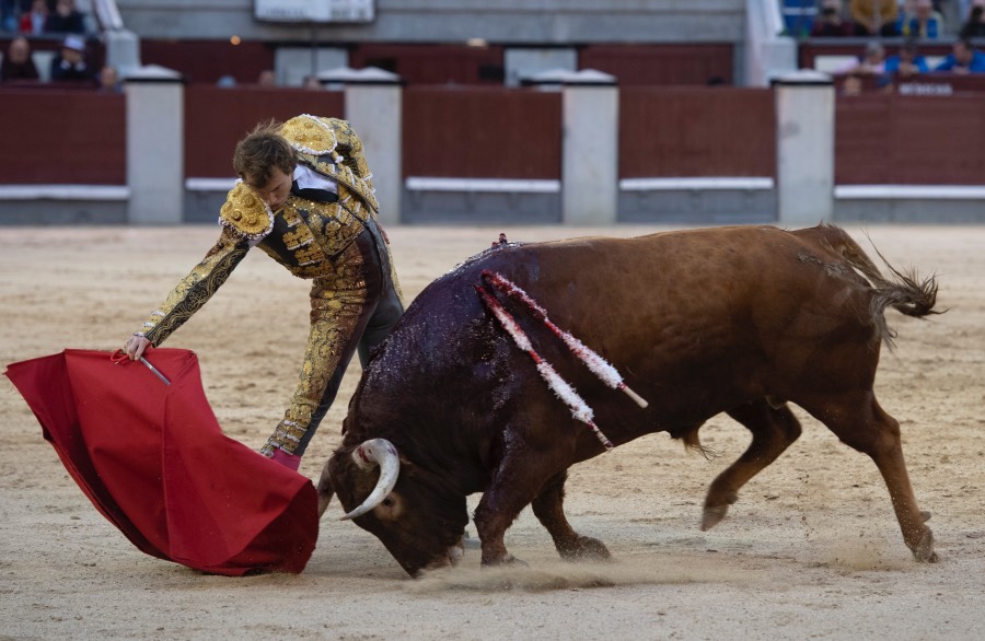 Madrid, 17 de mayo de 2019