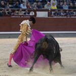 Madrid, 17 de mayo de 2019