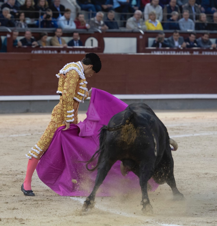 Madrid, 17 de mayo de 2019