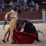 Madrid, 17 de mayo de 2019