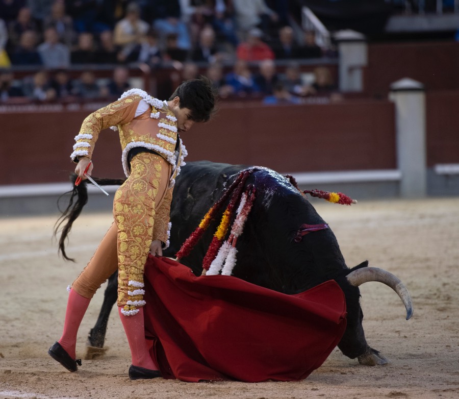 Madrid, 17 de mayo de 2019