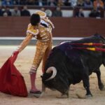 Madrid, 17 de mayo de 2019