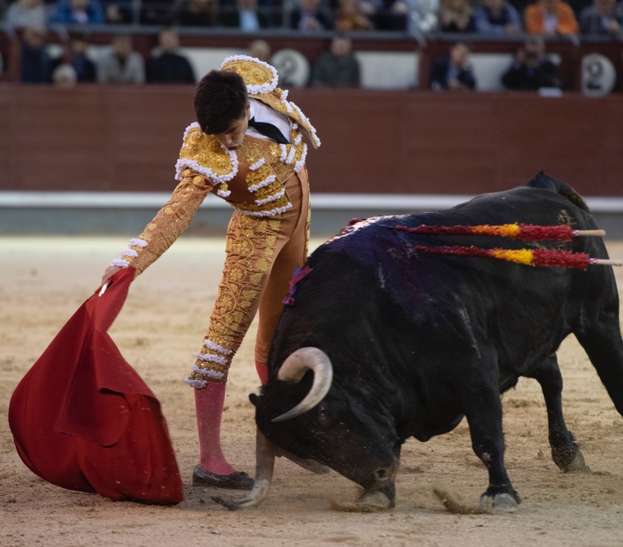 Madrid, 17 de mayo de 2019