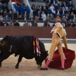 Madrid, 17 de mayo de 2019