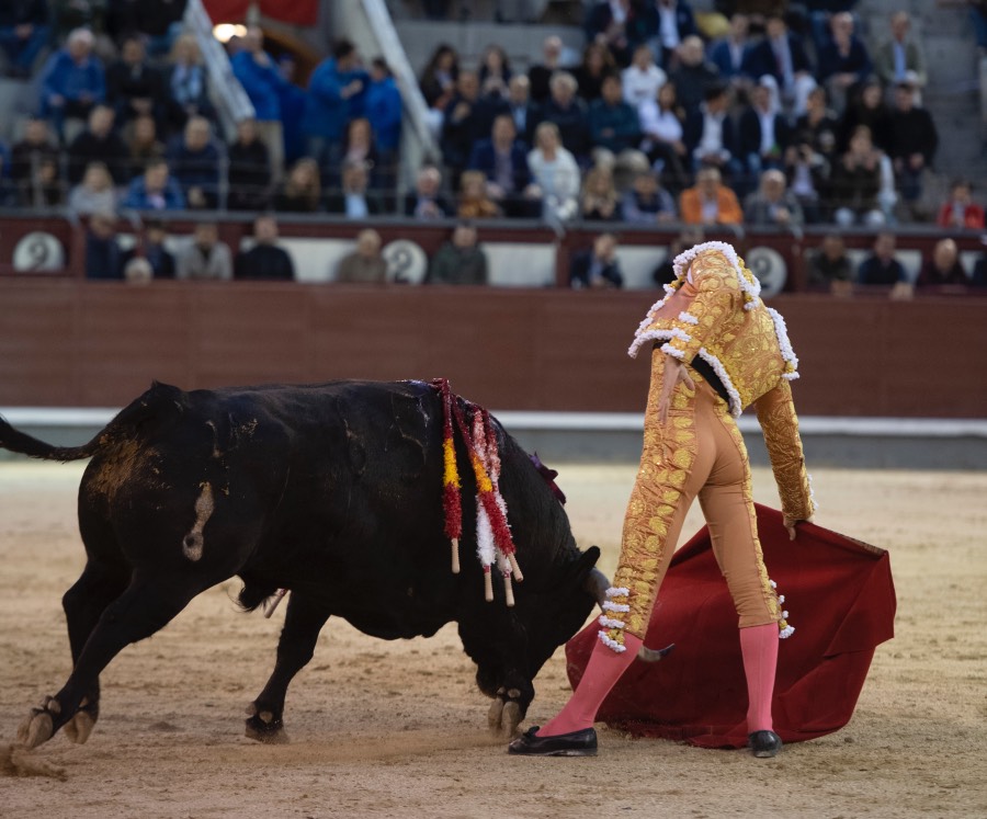 Madrid, 17 de mayo de 2019