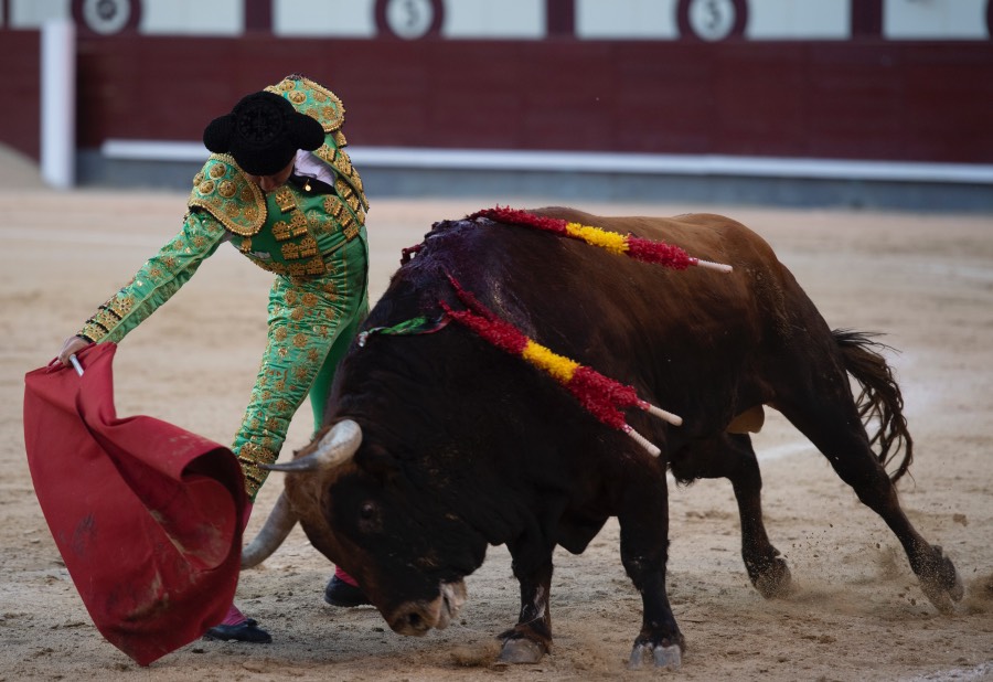 Madrid, sábado 25 de mayo de 2019