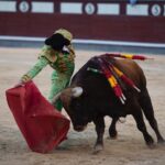 Madrid, sábado 25 de mayo de 2019