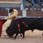 Madrid, 17 de mayo de 2019