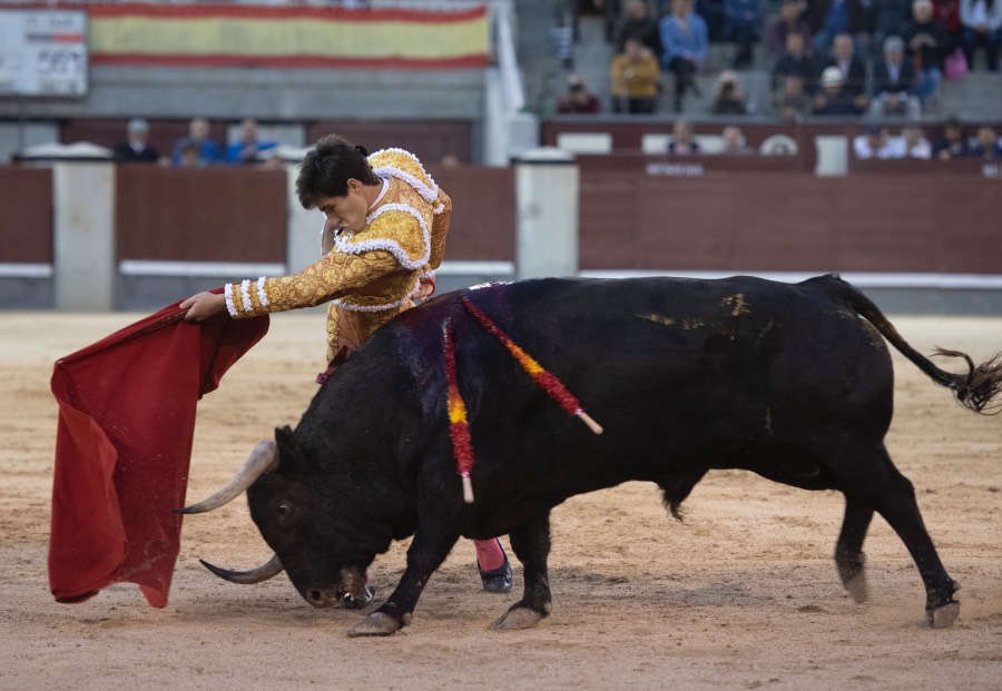 Madrid, 17 de mayo de 2019