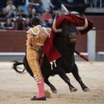 Madrid, 17 de mayo de 2019