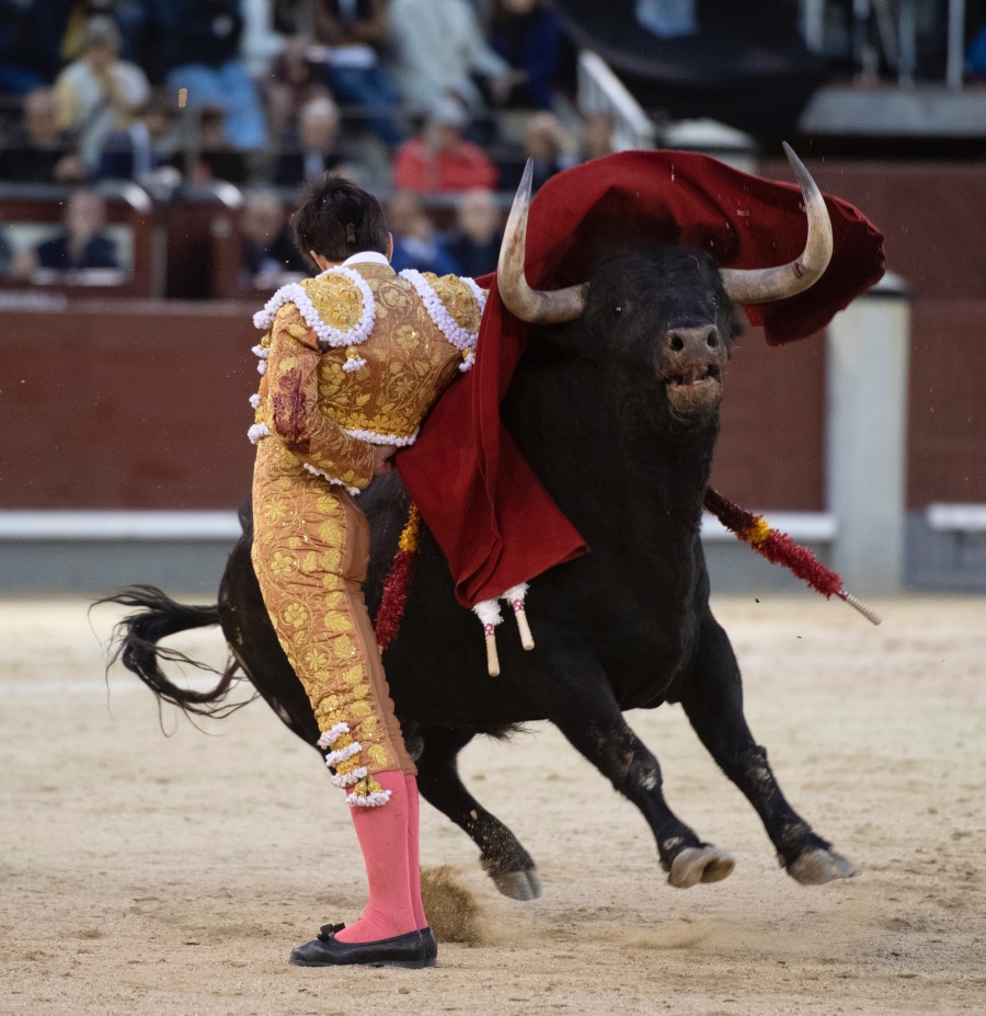 Madrid, 17 de mayo de 2019