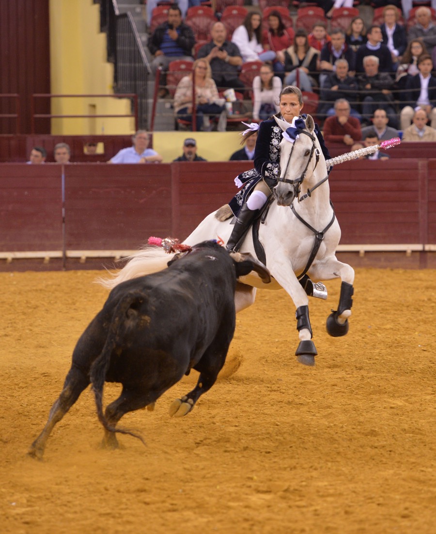 Campo Pequeno, sábado 18 de mayo de 2019