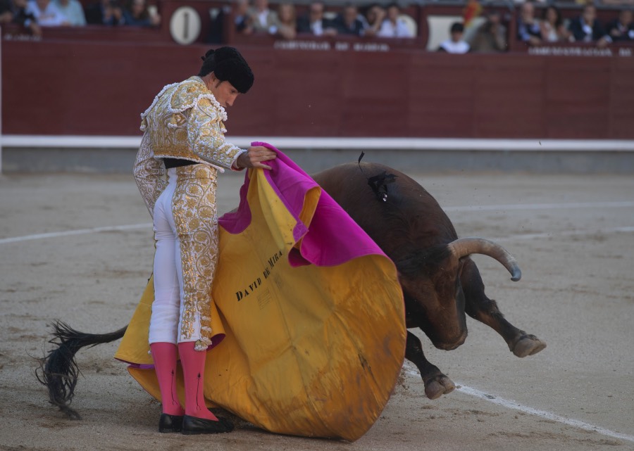 Madrid, viernes 24 de mayo de 2019