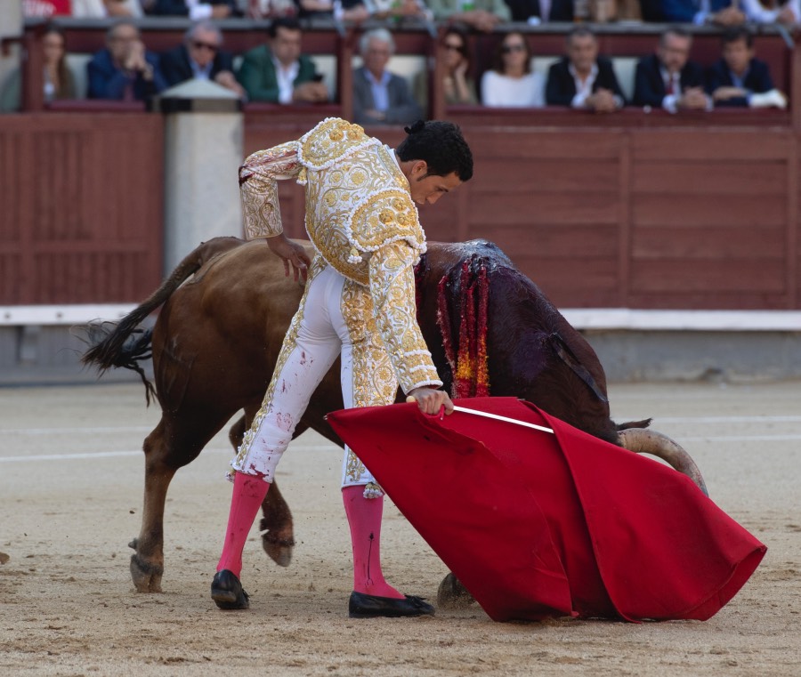 Madrid, viernes 24 de mayo de 2019