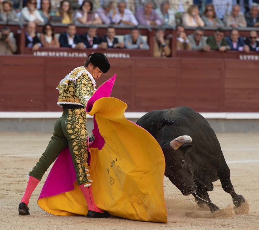 Madrid, viernes 24 de mayo de 2019