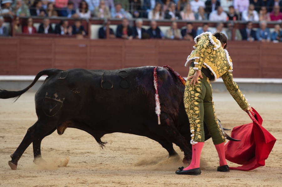 Madrid, viernes 24 de mayo de 2019