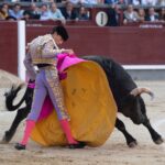 Madrid, viernes 24 de mayo de 2019