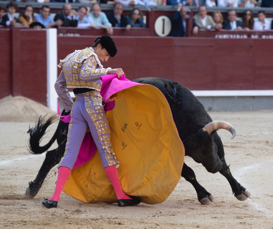 Madrid, viernes 24 de mayo de 2019