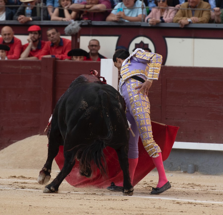 Madrid, viernes 24 de mayo de 2019