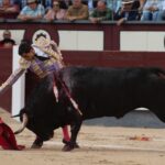 Madrid, viernes 24 de mayo de 2019