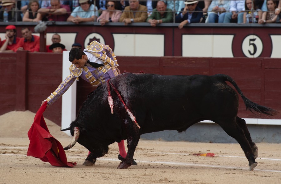Madrid, viernes 24 de mayo de 2019