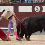 Madrid, viernes 24 de mayo de 2019