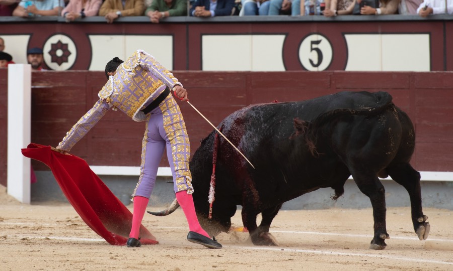 Madrid, viernes 24 de mayo de 2019