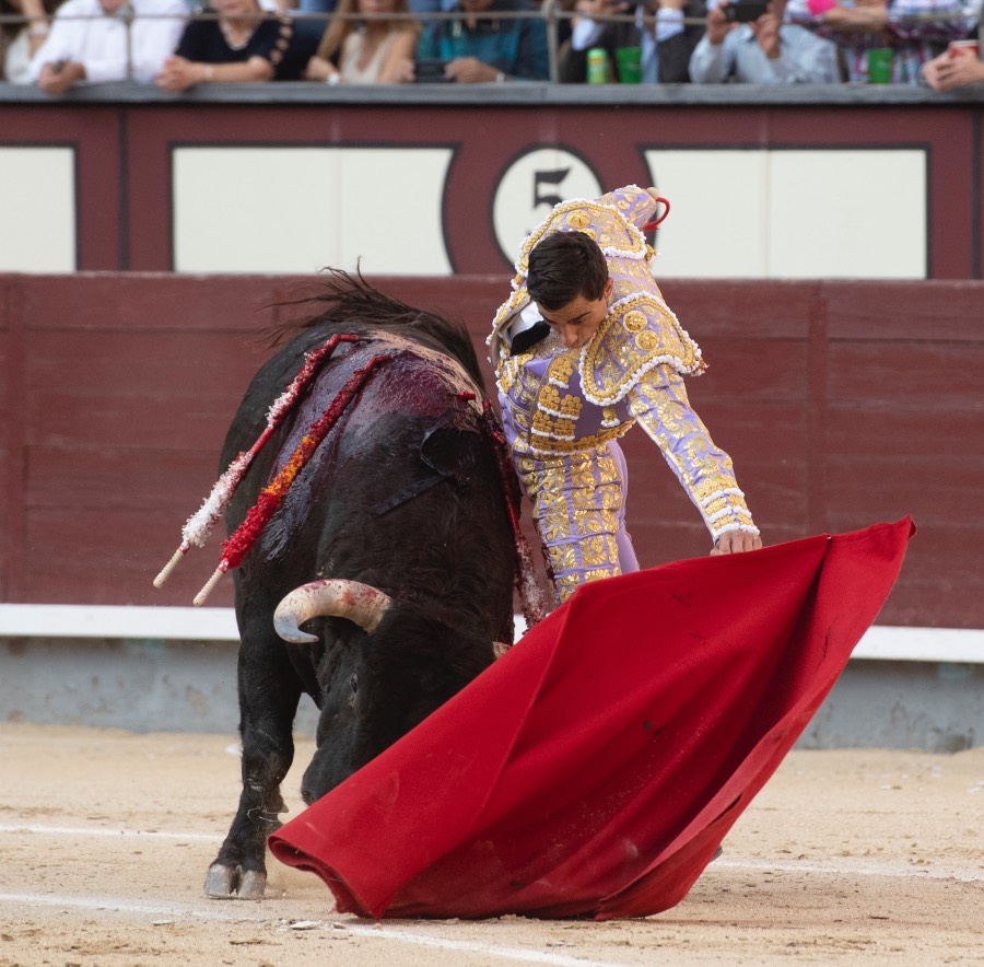 Madrid, viernes 24 de mayo de 2019