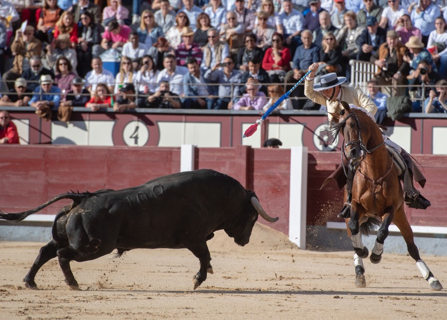 Madrid, domingo 19 de mayo de 2019