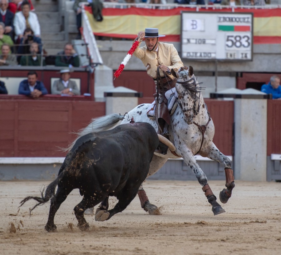 Madrid, domingo 19 de mayo de 2019