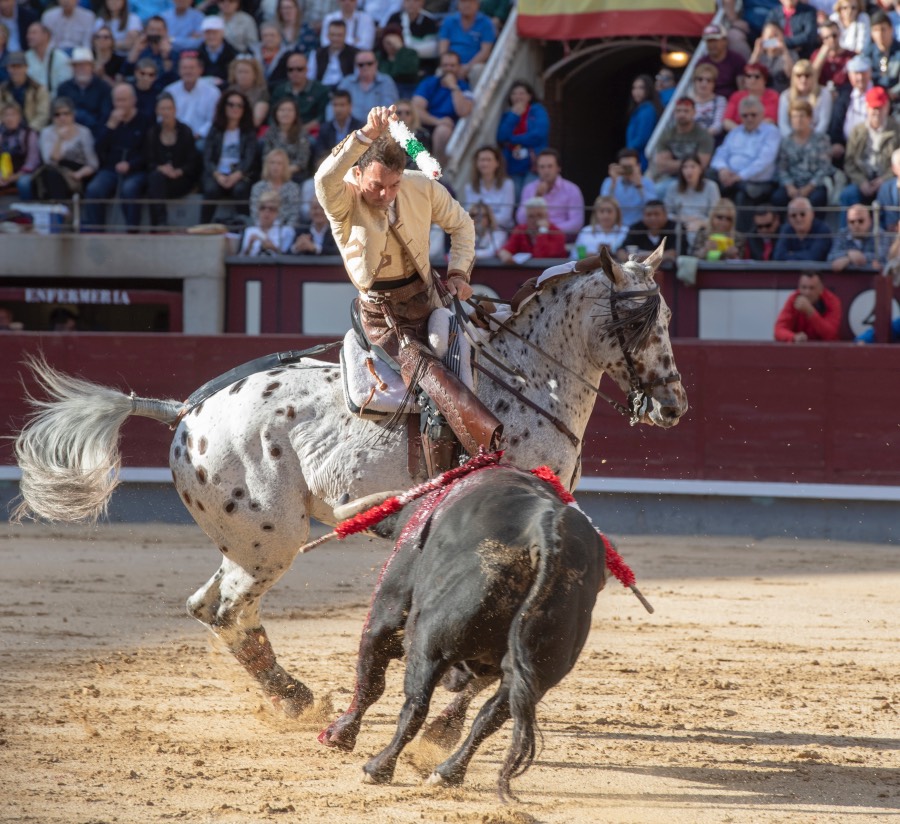 Madrid, domingo 19 de mayo de 2019