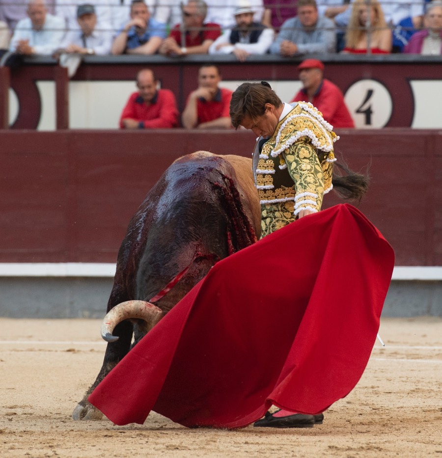 Madrid, viernes 24 de mayo de 2019