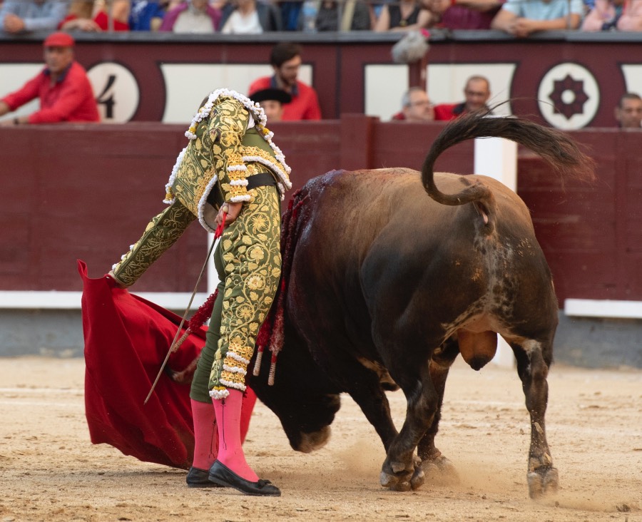 Madrid, viernes 24 de mayo de 2019