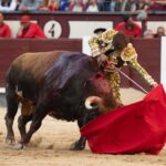 Madrid, viernes 24 de mayo de 2019