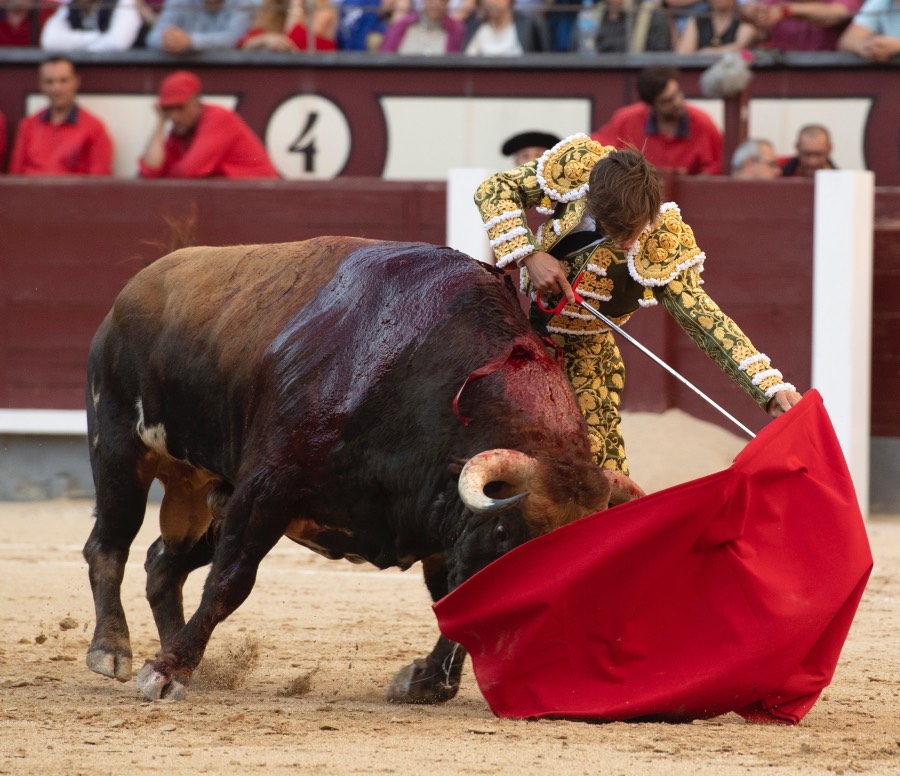 Madrid, viernes 24 de mayo de 2019
