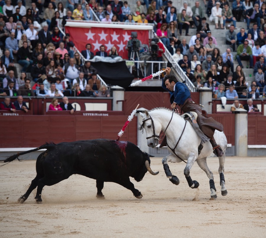 Madrid, domingo 19 de mayo de 2019